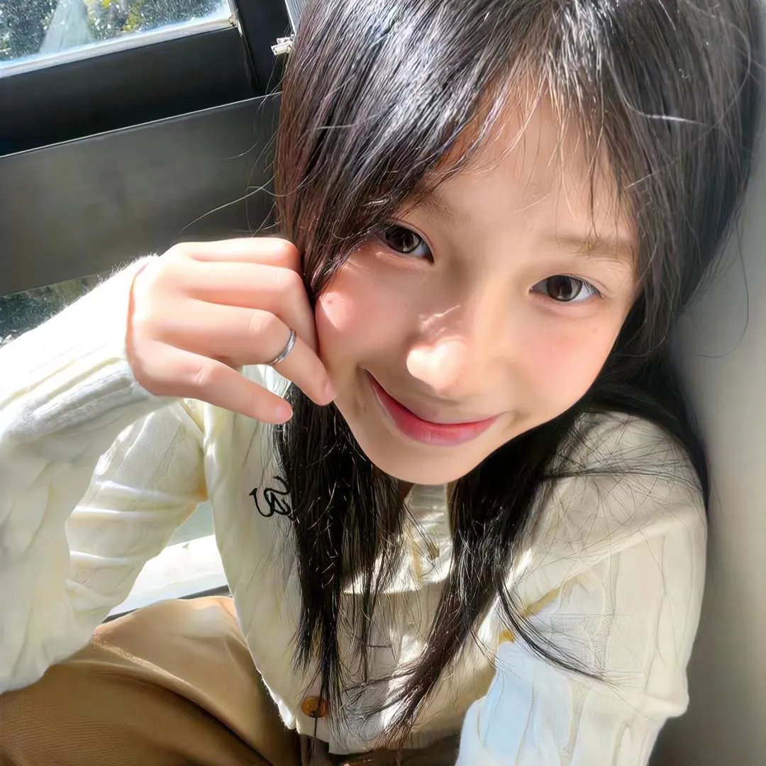翼龙