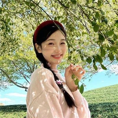 献给检察官的玫瑰花